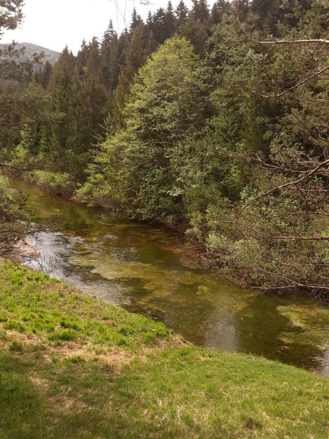 Conjar Villa Saborsko Kültér fotó
